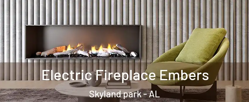 Electric Fireplace Embers Skyland park - AL