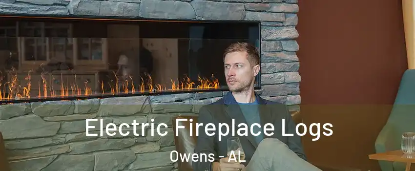 Electric Fireplace Logs Owens - AL