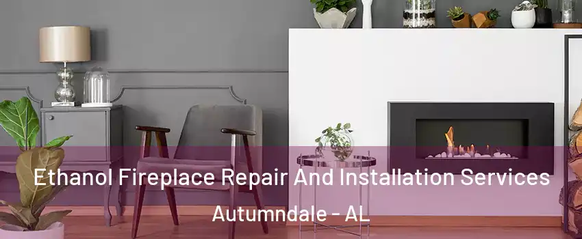 Ethanol Fireplace Repair And Installation Services Autumndale - AL