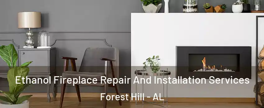 Ethanol Fireplace Repair And Installation Services Forest Hill - AL