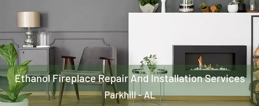 Ethanol Fireplace Repair And Installation Services Parkhill - AL