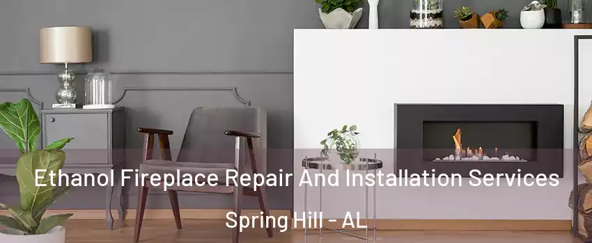 Ethanol Fireplace Repair And Installation Services Spring Hill - AL
