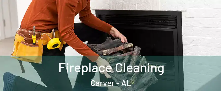 Fireplace Cleaning Carver - AL