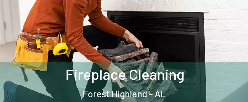 Fireplace Cleaning Forest Highland - AL