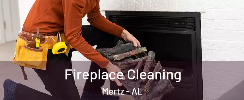 Fireplace Cleaning Mertz - AL