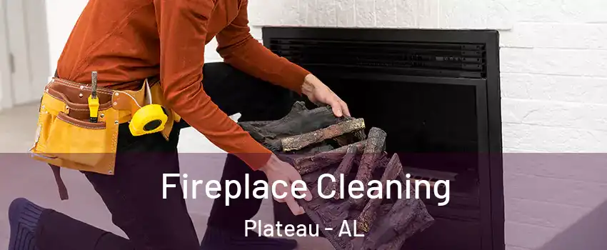 Fireplace Cleaning Plateau - AL