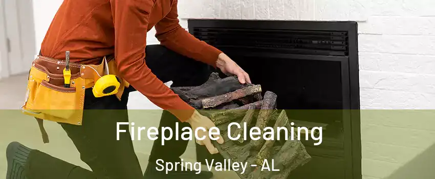 Fireplace Cleaning Spring Valley - AL