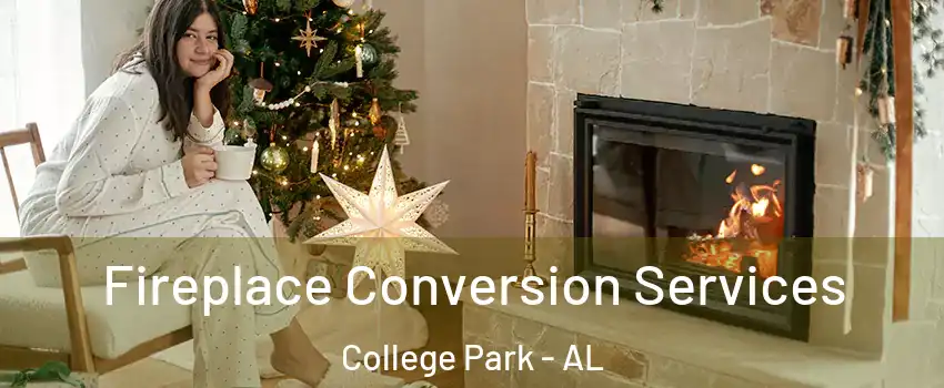 Fireplace Conversion Services College Park - AL