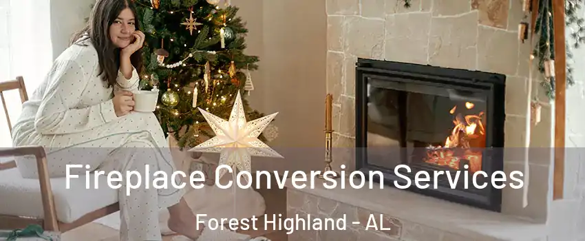 Fireplace Conversion Services Forest Highland - AL