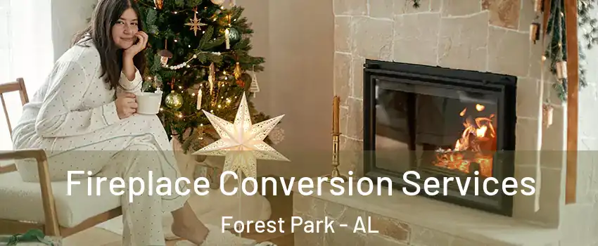Fireplace Conversion Services Forest Park - AL