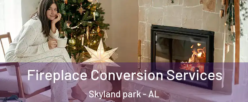Fireplace Conversion Services Skyland park - AL