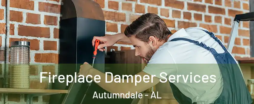 Fireplace Damper Services Autumndale - AL