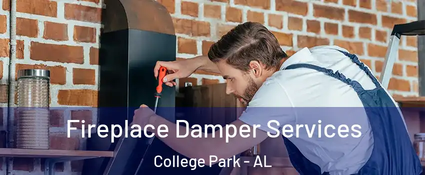 Fireplace Damper Services College Park - AL