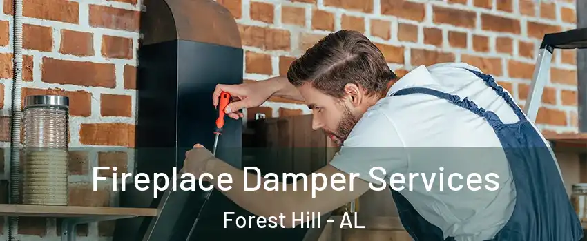 Fireplace Damper Services Forest Hill - AL