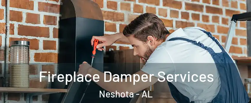 Fireplace Damper Services Neshota - AL