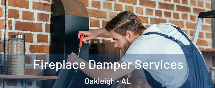 Fireplace Damper Services Oakleigh - AL