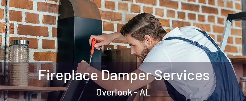 Fireplace Damper Services Overlook - AL