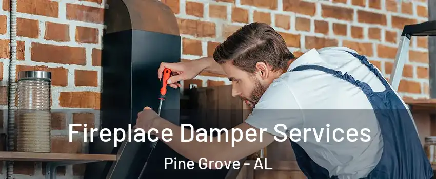 Fireplace Damper Services Pine Grove - AL