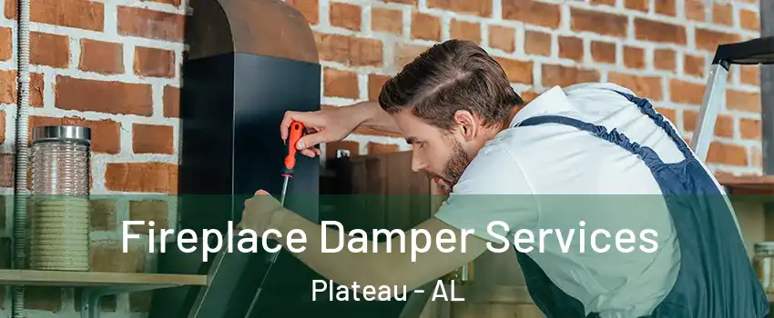Fireplace Damper Services Plateau - AL