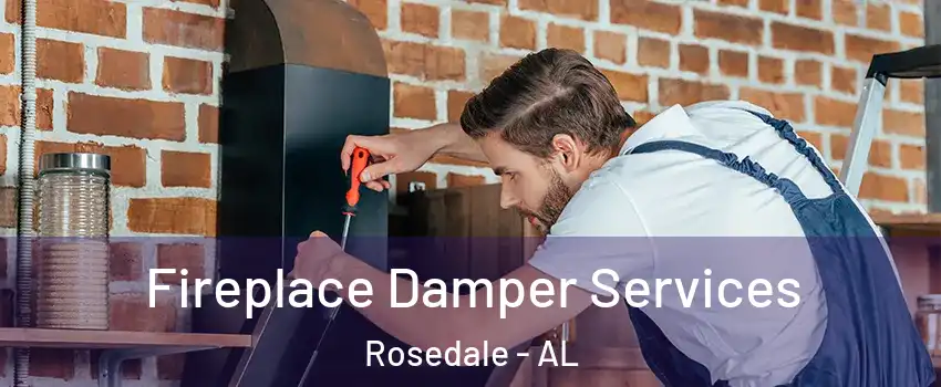 Fireplace Damper Services Rosedale - AL