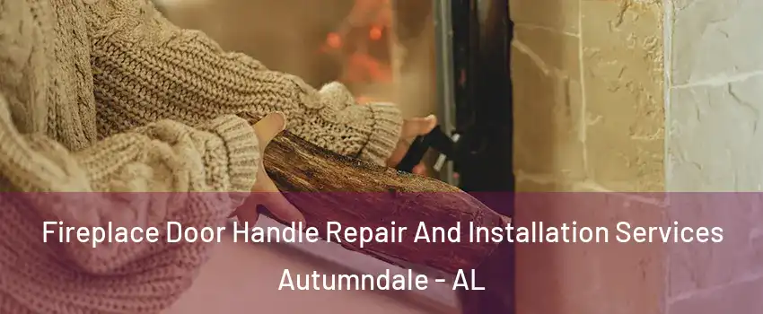 Fireplace Door Handle Repair And Installation Services Autumndale - AL