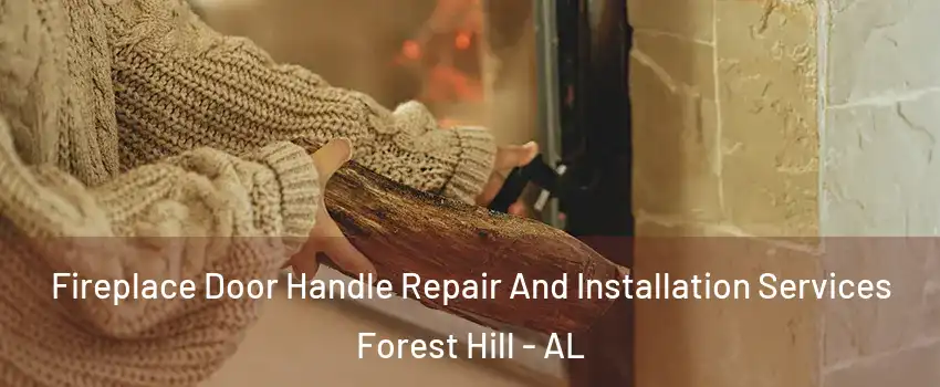 Fireplace Door Handle Repair And Installation Services Forest Hill - AL