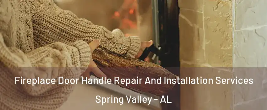 Fireplace Door Handle Repair And Installation Services Spring Valley - AL