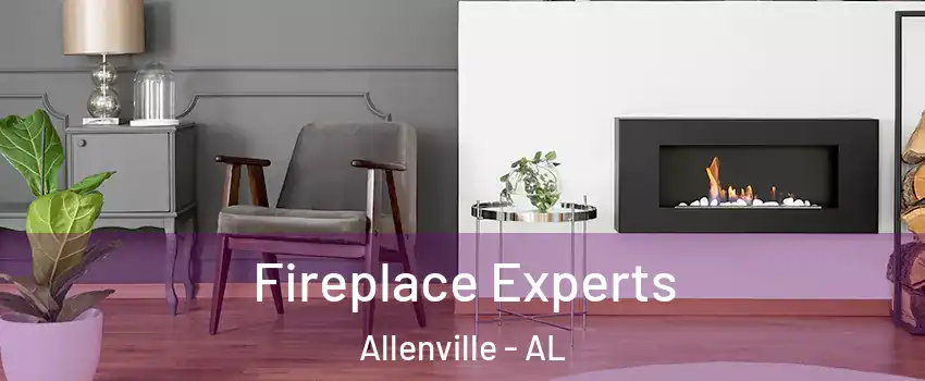 Fireplace Experts Allenville - AL