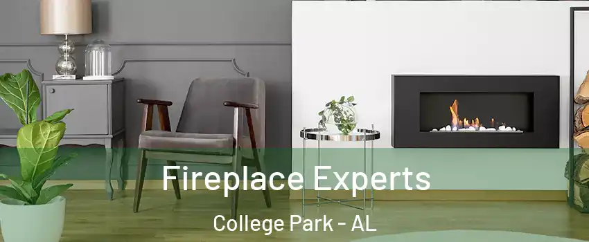 Fireplace Experts College Park - AL