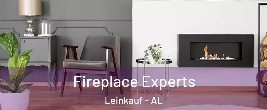 Fireplace Experts Leinkauf - AL