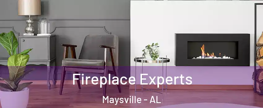 Fireplace Experts Maysville - AL