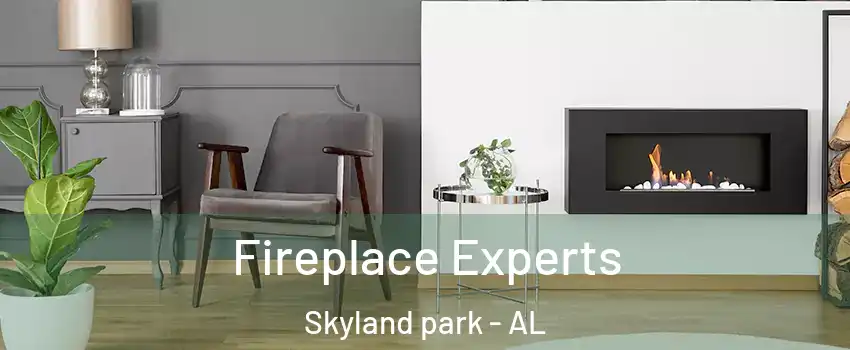 Fireplace Experts Skyland park - AL