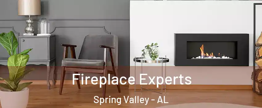 Fireplace Experts Spring Valley - AL