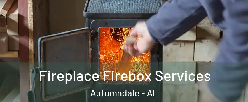Fireplace Firebox Services Autumndale - AL