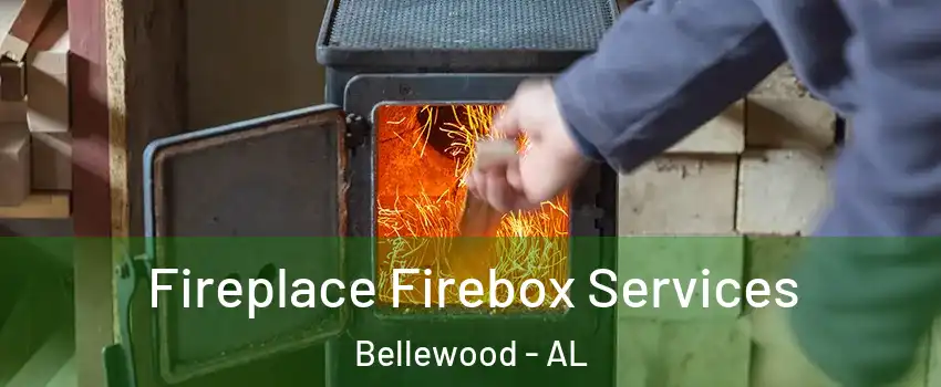 Fireplace Firebox Services Bellewood - AL