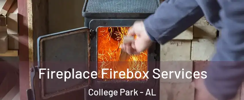 Fireplace Firebox Services College Park - AL