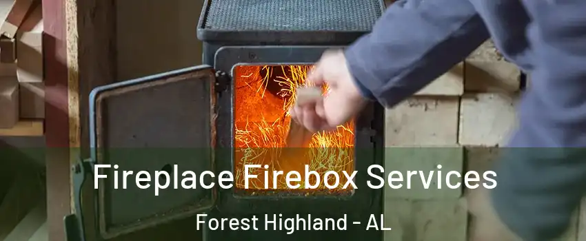 Fireplace Firebox Services Forest Highland - AL