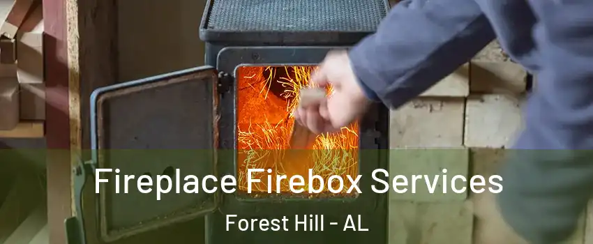 Fireplace Firebox Services Forest Hill - AL