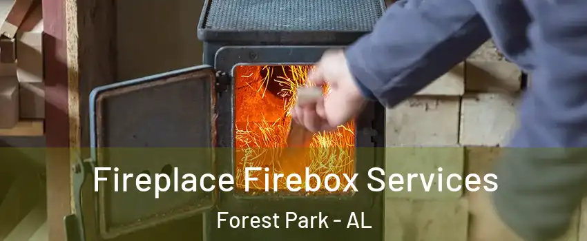 Fireplace Firebox Services Forest Park - AL