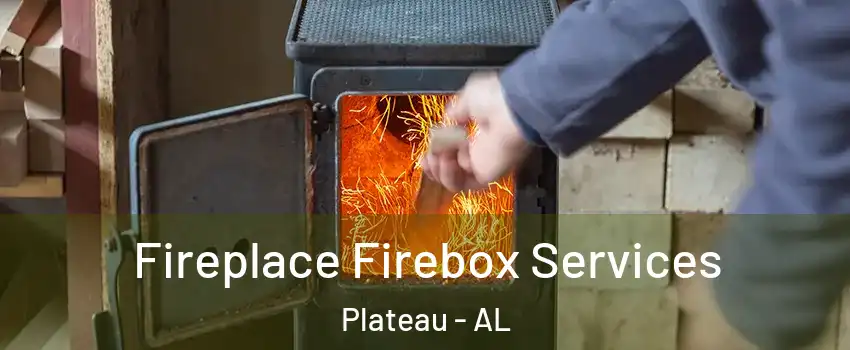 Fireplace Firebox Services Plateau - AL