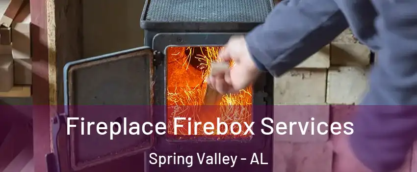 Fireplace Firebox Services Spring Valley - AL
