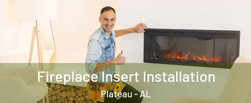 Fireplace Insert Installation Plateau - AL