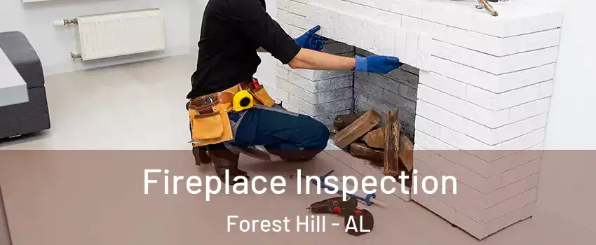 Fireplace Inspection Forest Hill - AL