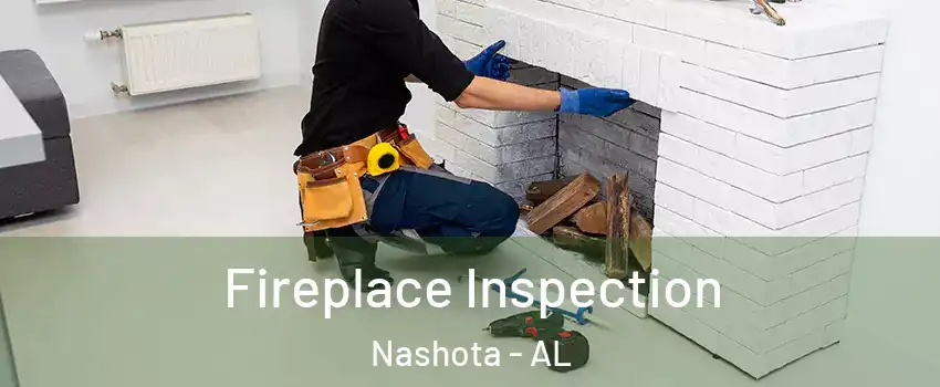 Fireplace Inspection Nashota - AL