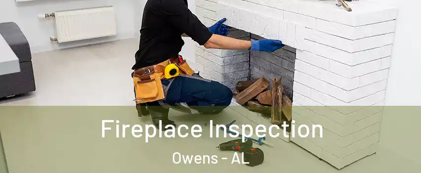 Fireplace Inspection Owens - AL