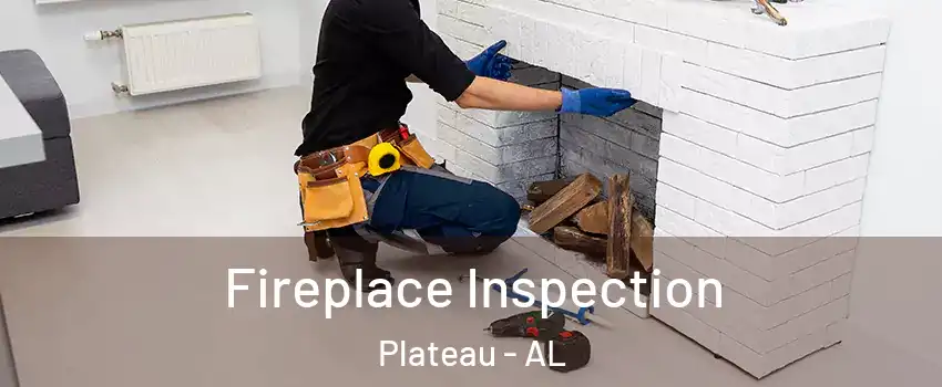 Fireplace Inspection Plateau - AL