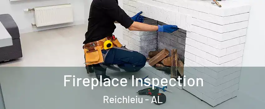 Fireplace Inspection Reichleiu - AL