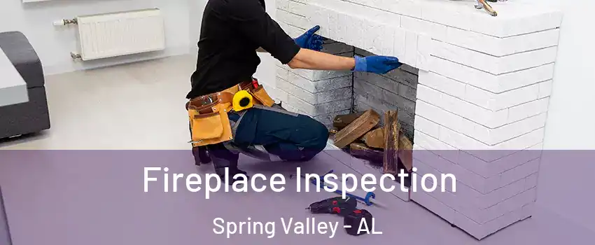 Fireplace Inspection Spring Valley - AL