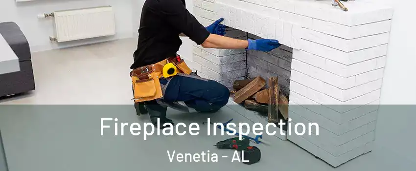 Fireplace Inspection Venetia - AL