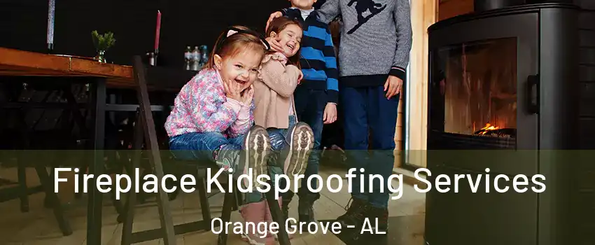 Fireplace Kidsproofing Services Orange Grove - AL